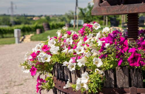 Agriturismo Le Mistral - Foto 37