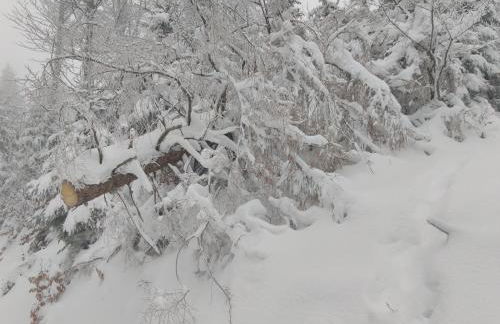 Grand Mobil Home 6 personnes climatisé avec 3 chambres et 2 salles de bains à Munster en Alsace - Foto 29