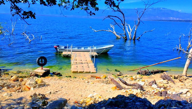 Excursión al lago Enriquillo con avistamiento de cocodrilos - Foto 5