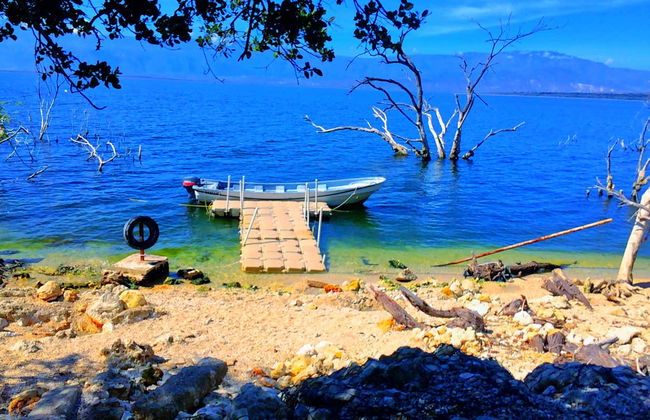 Excursión al lago Enriquillo con avistamiento de cocodrilos - Foto 5