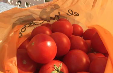 Todosol Dream - Foto 31