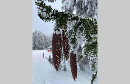 Zeit für Dich am Bergelchen, Winterberg - Foto 21