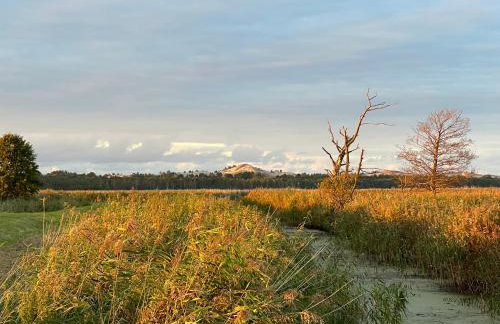 Słowińska Łąka - Foto 54