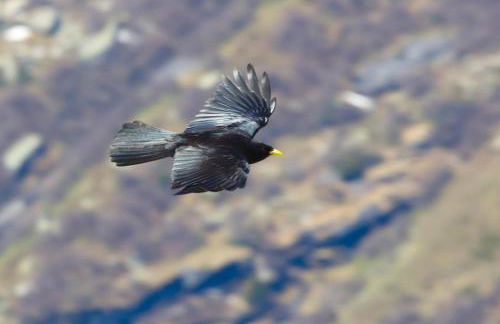 "Le Temps Suspendu" - Foto 71