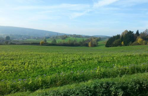 Ferienhäuschen Sans Pareille bei Bayreuth - Foto 59