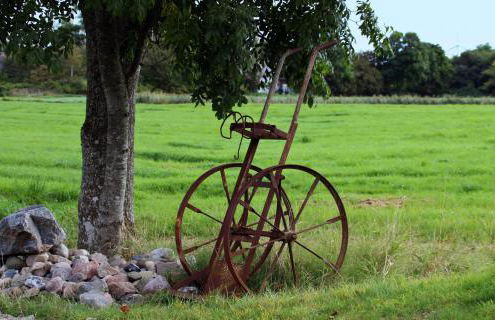 Haus Rungholt - Foto 6