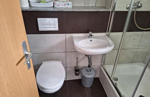 Gaststätte und Pension Zur Schiene - Foto 8