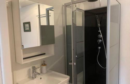 Loft avec parking centre Tours et bord du Cher Loire Valley - Foto 10