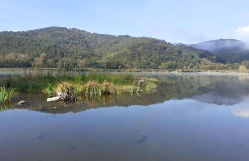 Maison tout confort avec piscine chauffée au bord des rives de la Dordogne - Foto 37