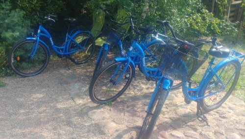 SaunaPark SPA - Foto 4, Garden