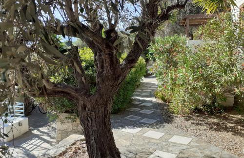 Vigla-Βίγλα 1 2 - Photo 27