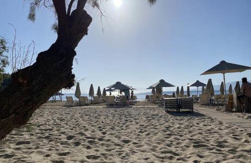 Rapunzel's Tower Mani - Foto 19