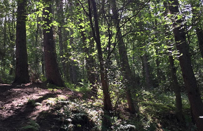 1 Twizell Lane - Foto 43