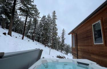 BEST VIEWS! Luxury Mountain Home - Saltwater HotTub, Firepit, BBQ- Close to SKI, Red Rocks - Foto 4