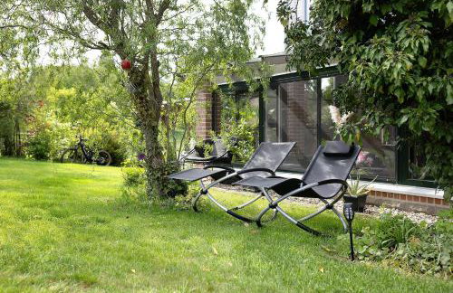 Wiesenblume - Foto 19