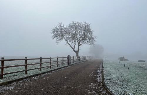 Magog View - Foto 26