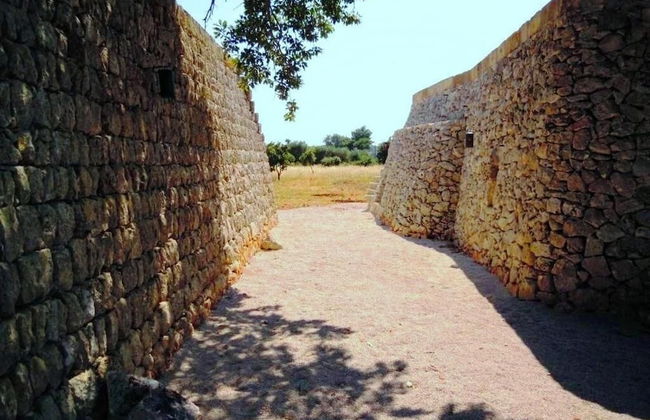 Agriturismo Le Fornelle - Foto 38