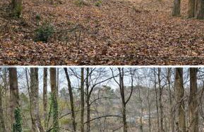Lake Lanier 3BR Cozy Retreat with Screened Porch, Deck and Dock - Foto 13
