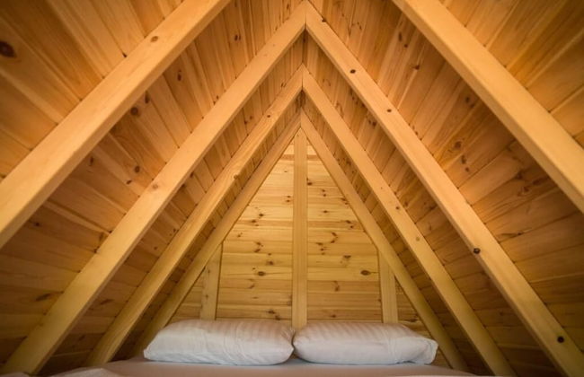 Limon Datca - Foto 5