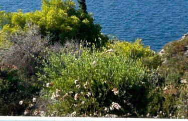 VILA AMALIA - Foto 47