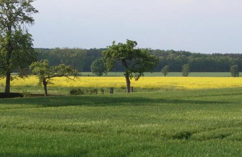 Apartment in Volksdorf mit Großer Terrasse by Interhome - Photo 21
