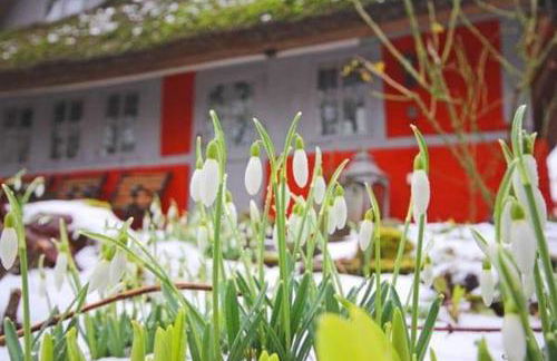 Wegekaten - Ferienwohnungen unter Reet - Foto 91