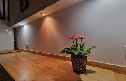 La Replaceta - Foto 49