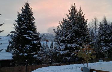 Zawojska Kapryśnica Zawoja Górna 2970 - Foto 13