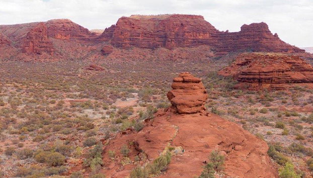 Escursione di un'intera giornata a Palm Valley e tour in fuoristrada - Foto 5