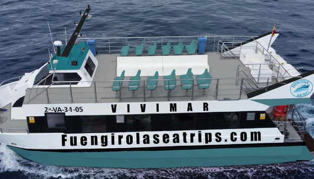 Avvistamento di delfini a Fuengirola - Foto 4