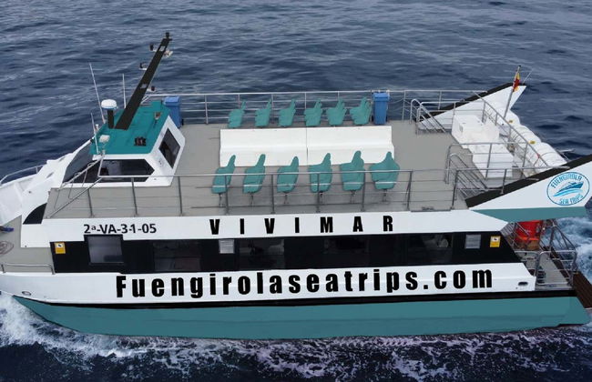 Avistamento de golfinhos em Fuengirola - Foto 4