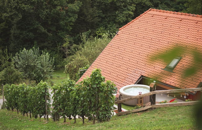 Vineyard cottage Tramte - Foto 10