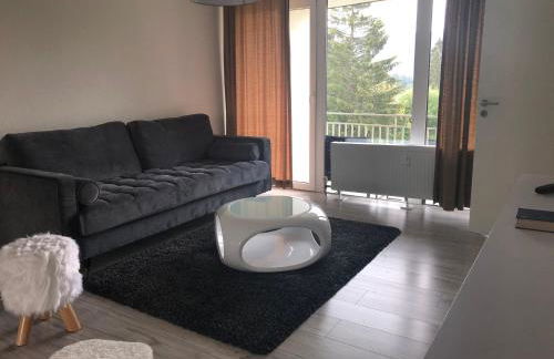 Ferienwohnung im Dreiländereck - Foto 11