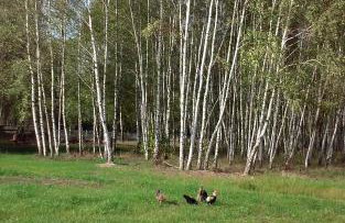 Nowa Wola 58 - 200qm appartment in a small village, with pool, sauna and big garden - Foto 70