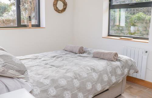 Black Cat Bach - Foto 18