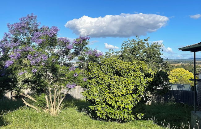 Morwell Pet friendly 3BM House - Photo 23