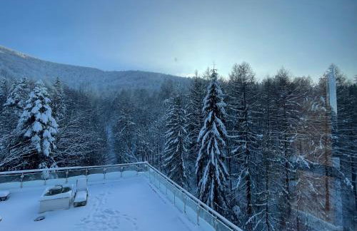 Apartament Kurort Kozubnik - Taras nad Potokiem - Foto 11