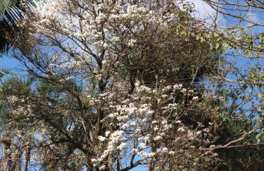 Casa de campo em Furnastur - Foto 40