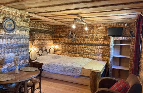 La Cabane trappeur - Photo 11