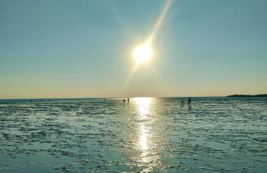 Leuchtturm - Foto 17