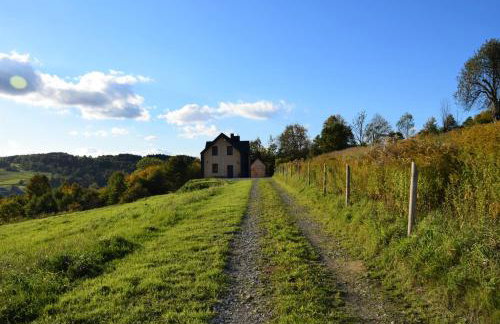 Osada Dzikie Wino - Foto 16