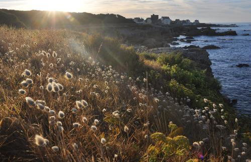 Appartement au cœur du Pouliguen avec balcon et parking, animaux admis - FR-1-306-1313 - Foto 8