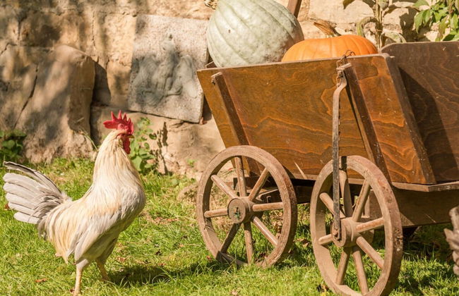 Apartment in a Wooded Area on Lake Faak - Foto 9