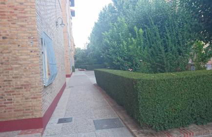 Apartamento en Granada capital para 6 personas - Photo 26