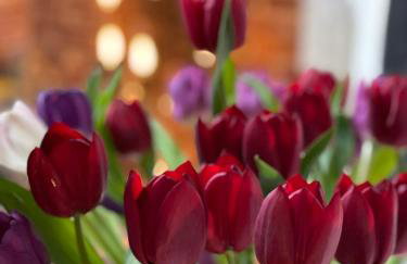 Epic Location, Views & Large Private Terrace - Photo 12