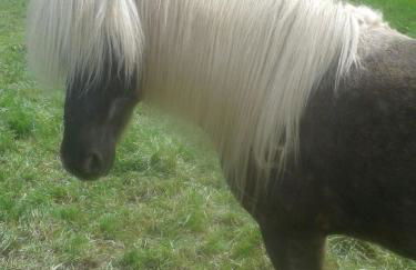 Haus Am Sonnenberg - Photo 23