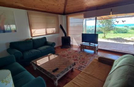 El Abejaruco - Foto 2