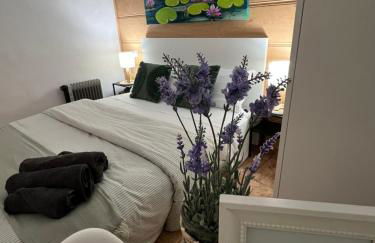 Tranquilo apto ideal paraTurismo Rural y Relax - Foto 10