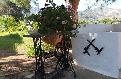 Tiki Rooms - Foto 49