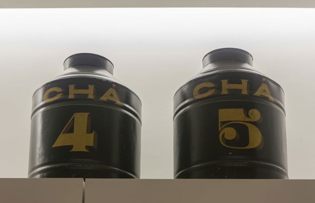 Quinta dos Peixes Falantes - Foto 62